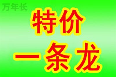 三明福建省三明市尤溪县墓地价格是多少？